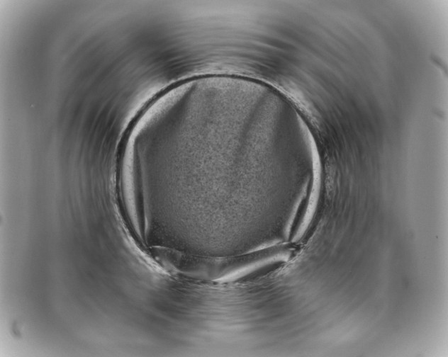 X0000097790896200803211818