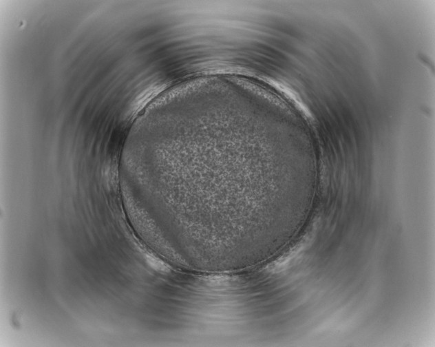 X0000097790897200803211818