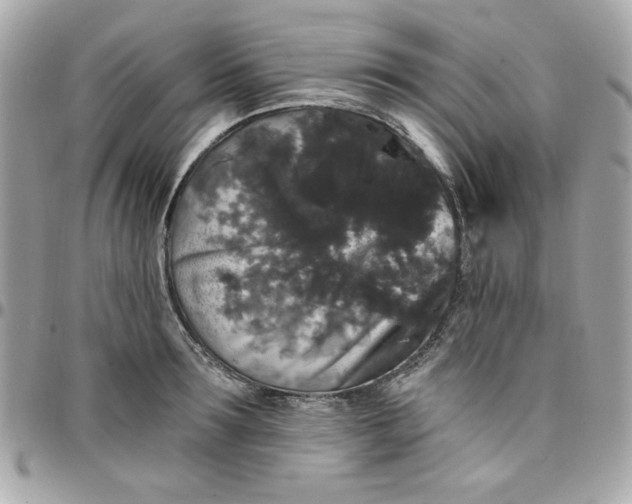 X0000097790899200803211818