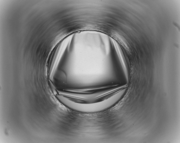 X0000097790900200803211818