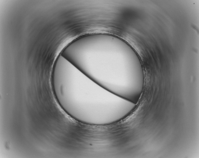 X0000097790901200803211818