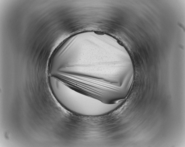 X0000097790902200803211818