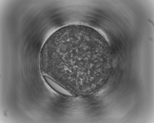 X0000097790903200803211818