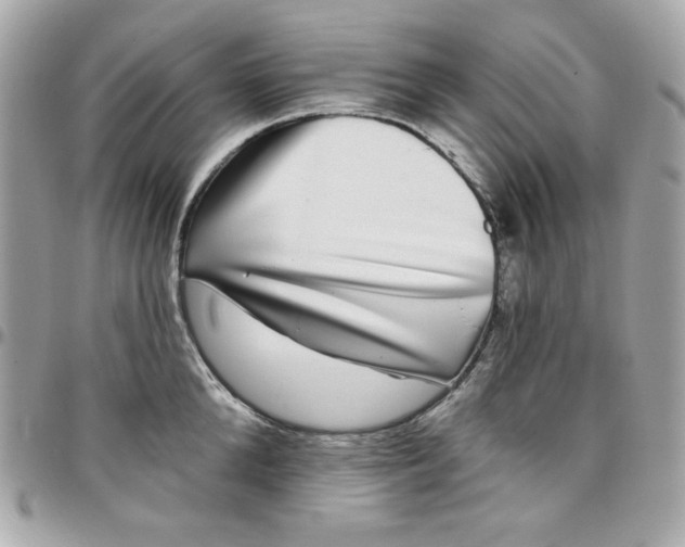 X0000097790904200803211818