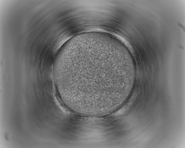 X0000097790905200803211818