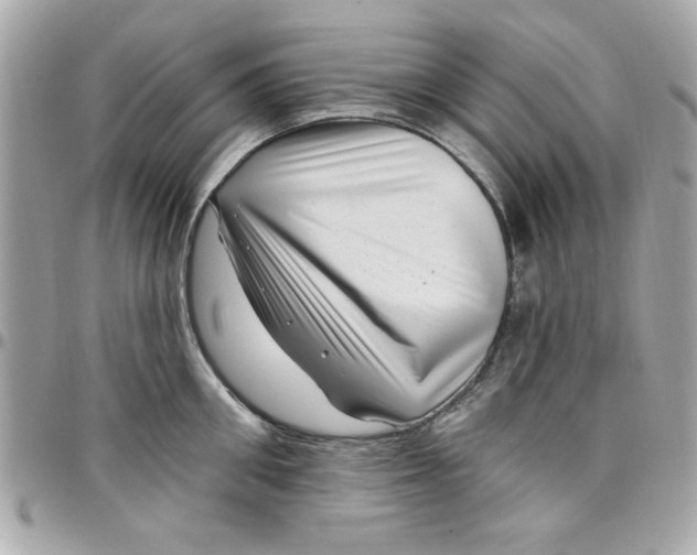 X0000097790906200803211818