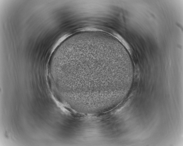 X0000097790909200803211818