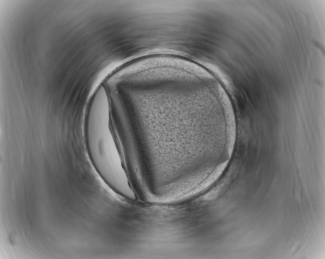 X0000097790910200803211818
