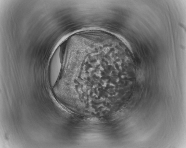 X0000097790911200803211818