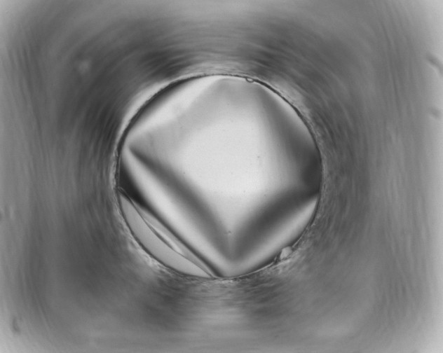 X0000097790912200803211818