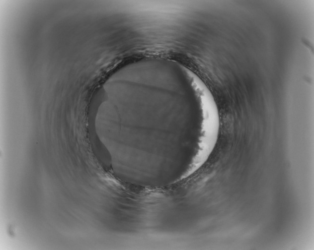 X0000097790913200803211817