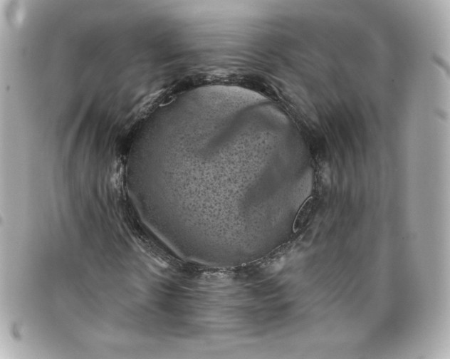 X0000097790914200803211817