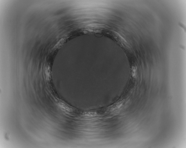 X0000097790915200803211817