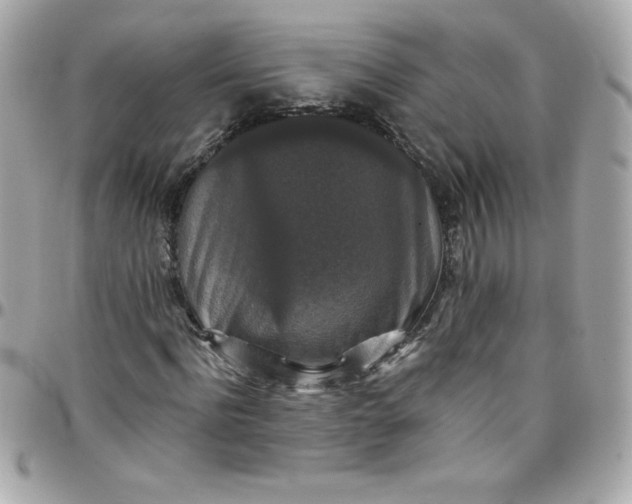 X0000097790916200803211817
