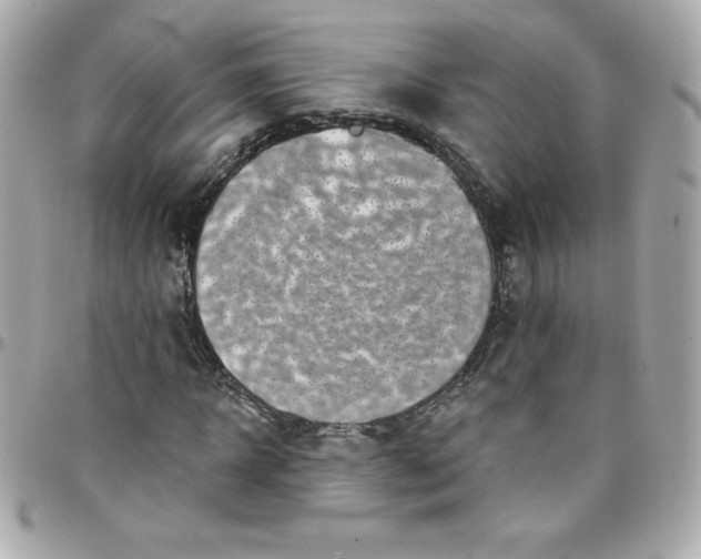 X0000097790918200803211817