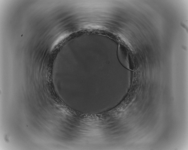 X0000097790919200803211817