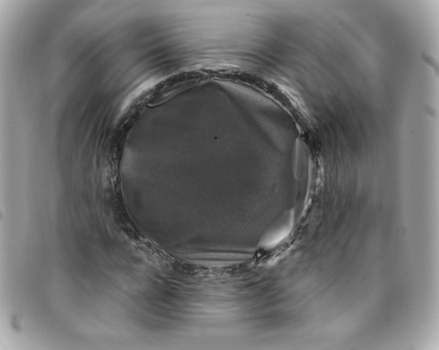 X0000097790920200803211817