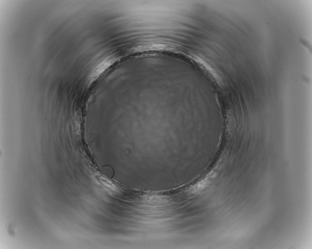 X0000097790921200803211817