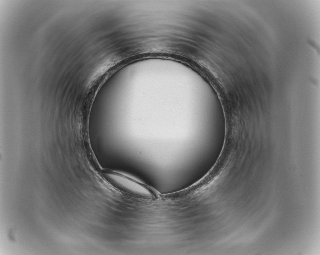 X0000097790922200803211818