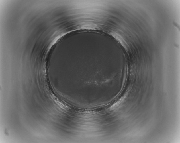 X0000097790923200803211818