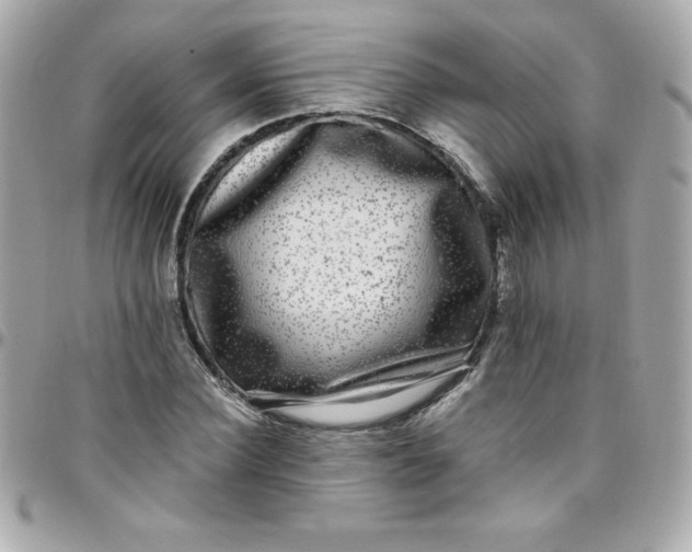 X0000097790924200803211818