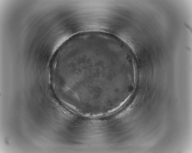 X0000097790925200803211818