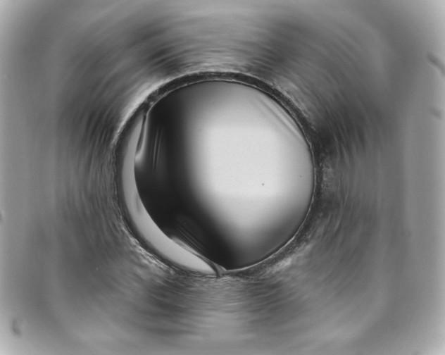 X0000097790926200803211818