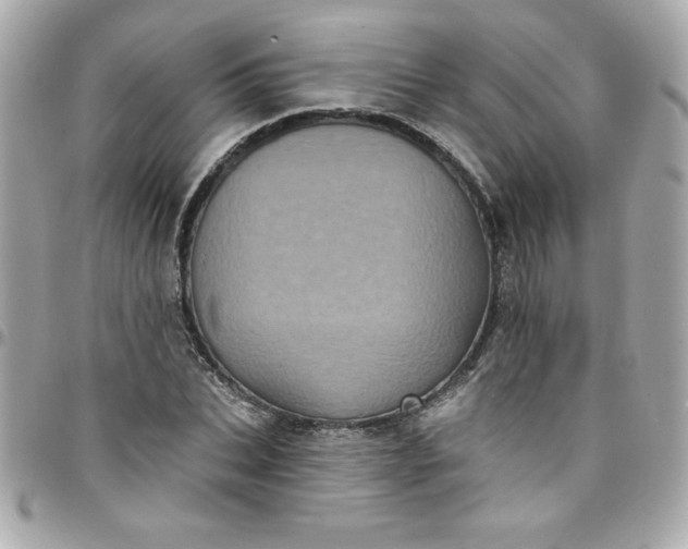 X0000097790927200803211818