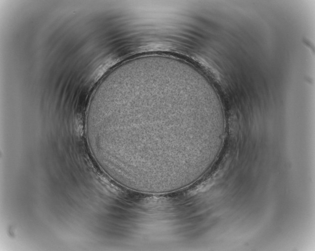 X0000097790929200803211818