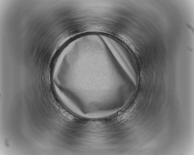 X0000097790931200803211818