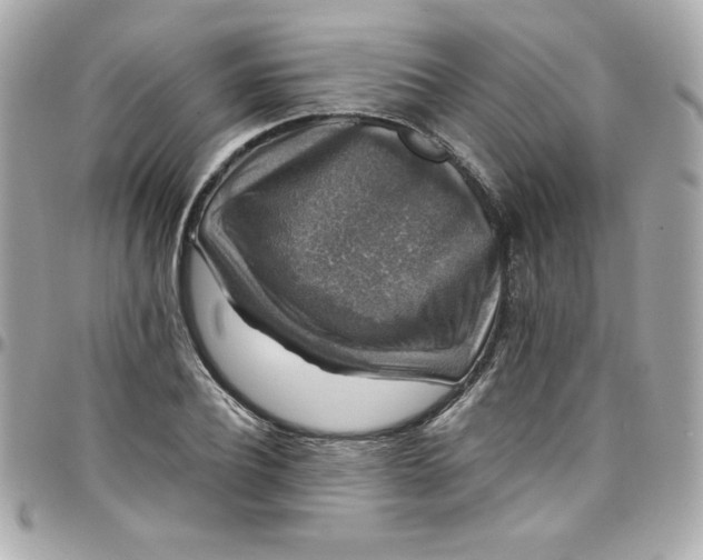 X0000097790932200803211818