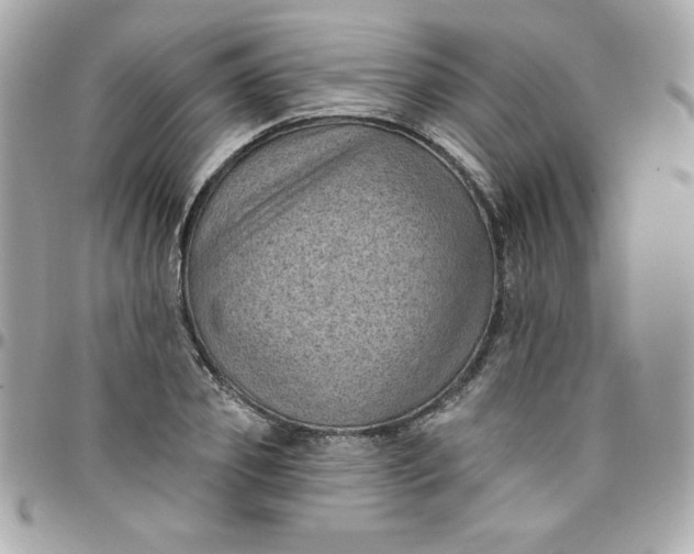 X0000097790933200803211818
