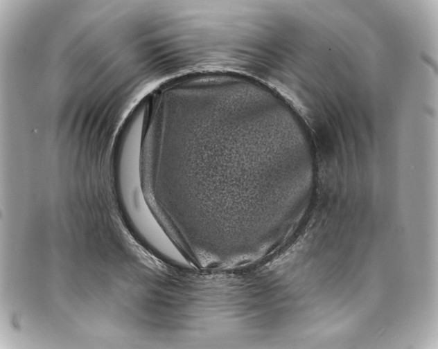 X0000097790934200803211818