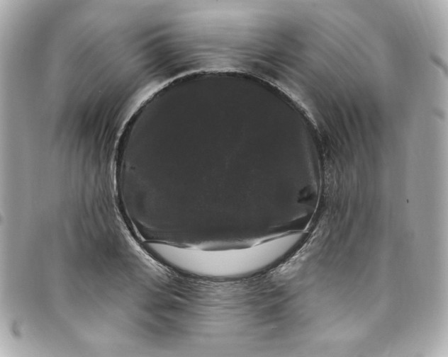 X0000097790935200803211818