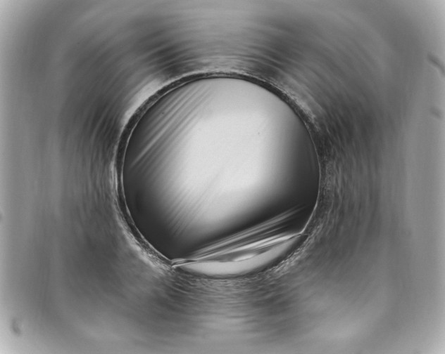 X0000097790936200803211818