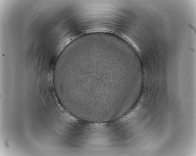 X0000097790937200803211818