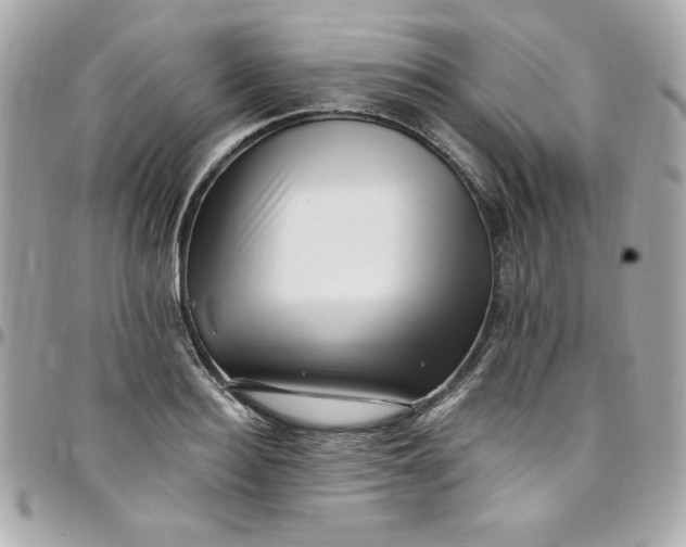 X0000097790940200803211818