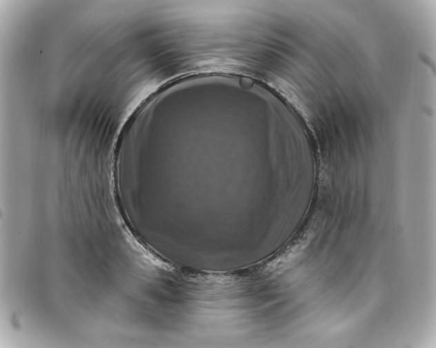 X0000097790941200803211818
