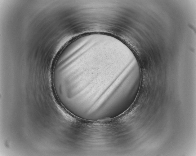 X0000097790942200803211818