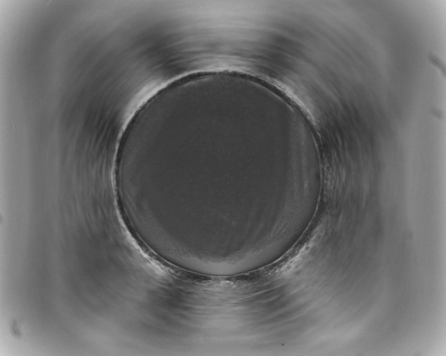 X0000097790943200803211818