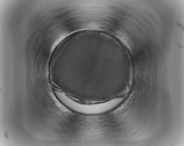 X0000097790944200803211818