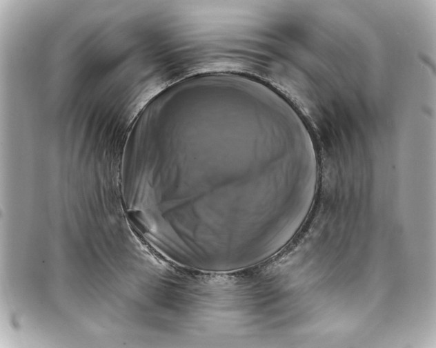 X0000097790945200803211818