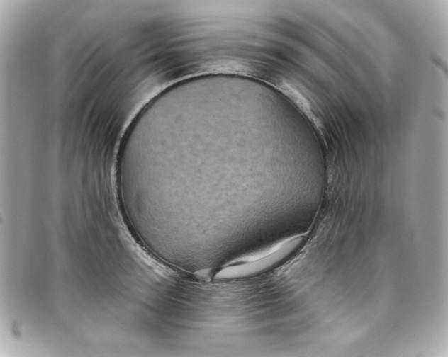 X0000097790947200803211818