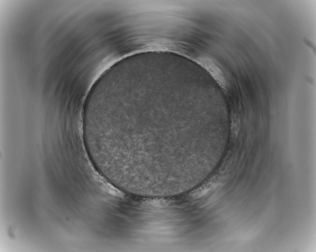 X0000097790950200803211818