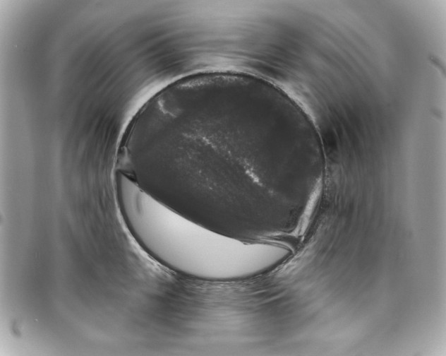 X0000097790951200803211818