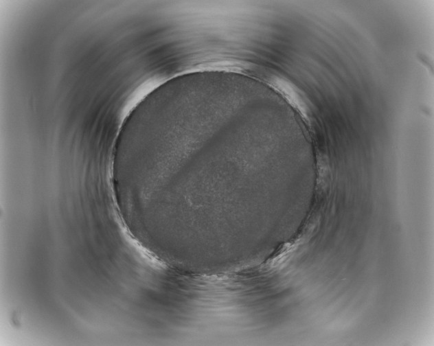 X0000097790952200803211818