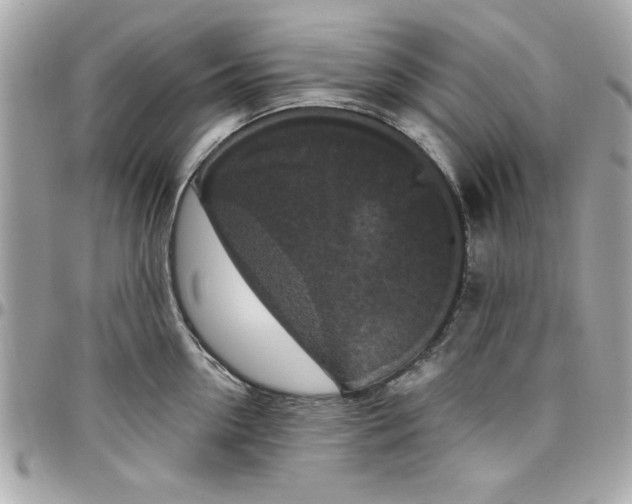 X0000097790954200803211818