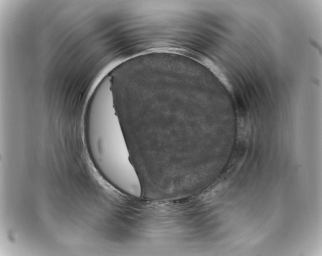 X0000097790955200803211818