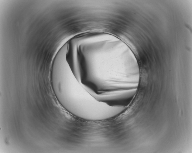 X0000097790956200803211818