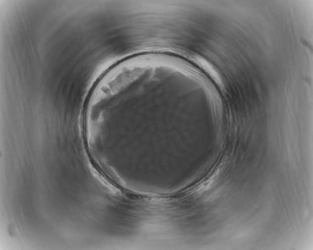 X0000097790958200803211818